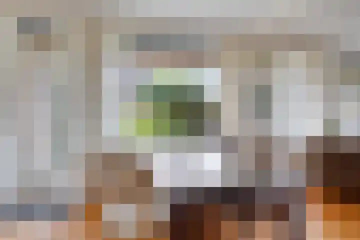 de Els 11 Haaksbergen thumbnail 17