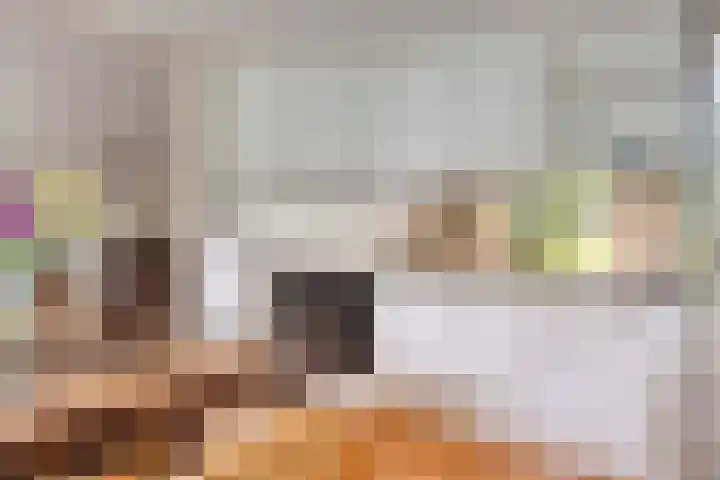 de Els 11 Haaksbergen thumbnail 19