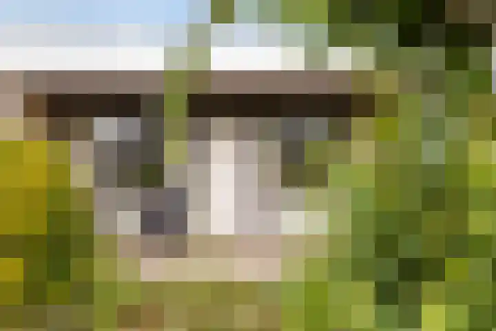 de Els 11 Haaksbergen thumbnail 22