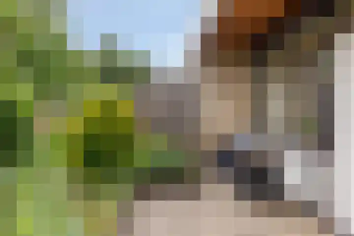 de Els 11 Haaksbergen thumbnail 23