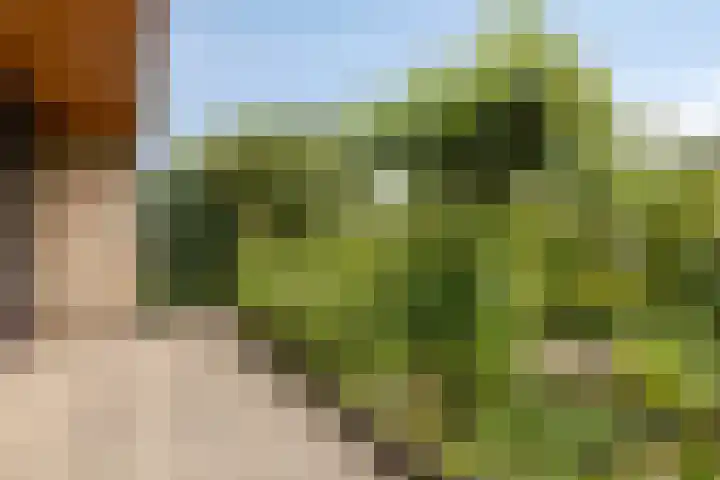 de Els 11 Haaksbergen thumbnail 24
