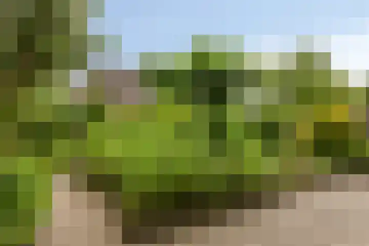 de Els 11 Haaksbergen thumbnail 25