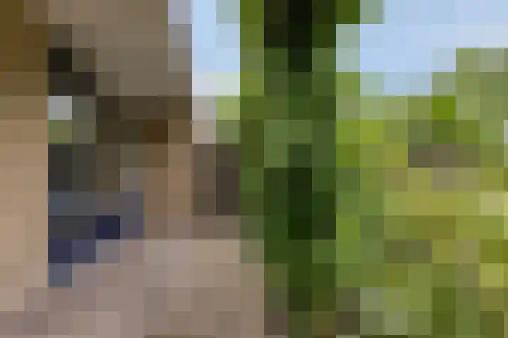de Els 11 Haaksbergen thumbnail 33