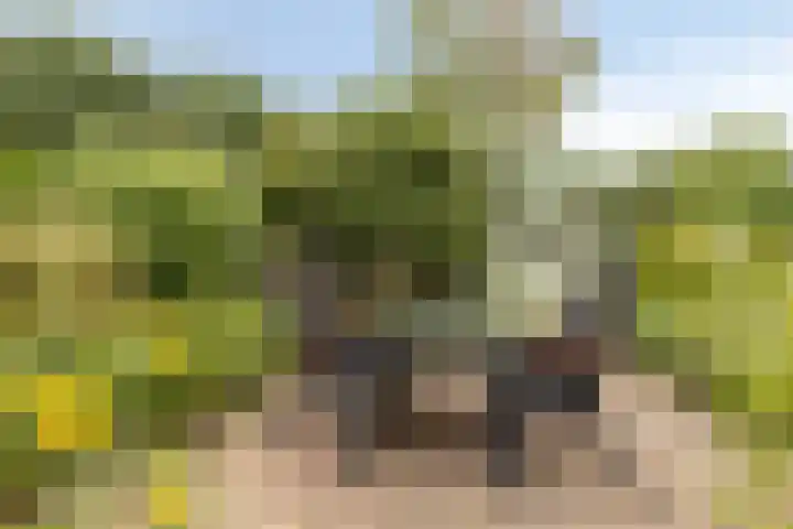 de Els 11 Haaksbergen thumbnail 34