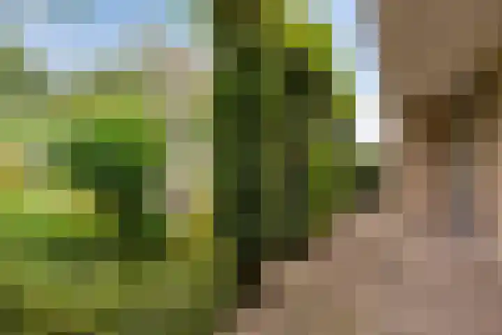 de Els 11 Haaksbergen thumbnail 35
