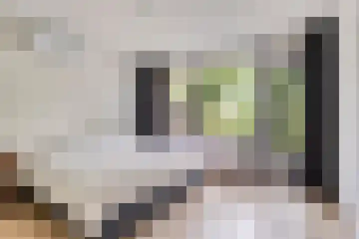 de Els 11 Haaksbergen thumbnail 4