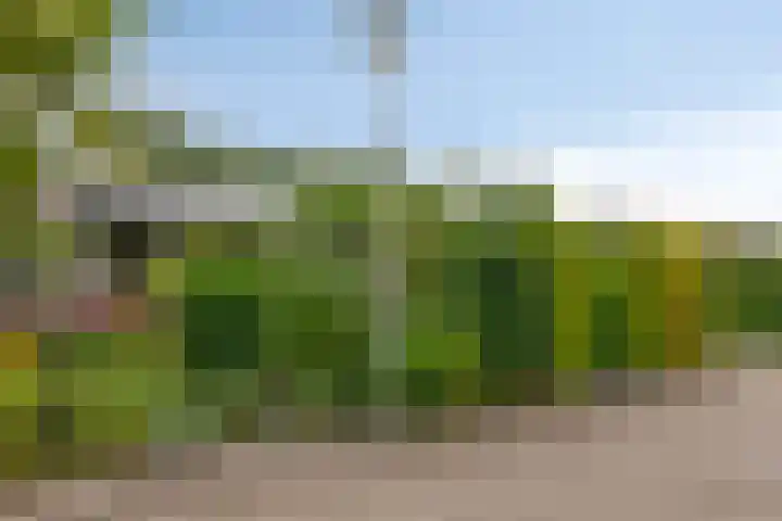 de Els 11 Haaksbergen thumbnail 7