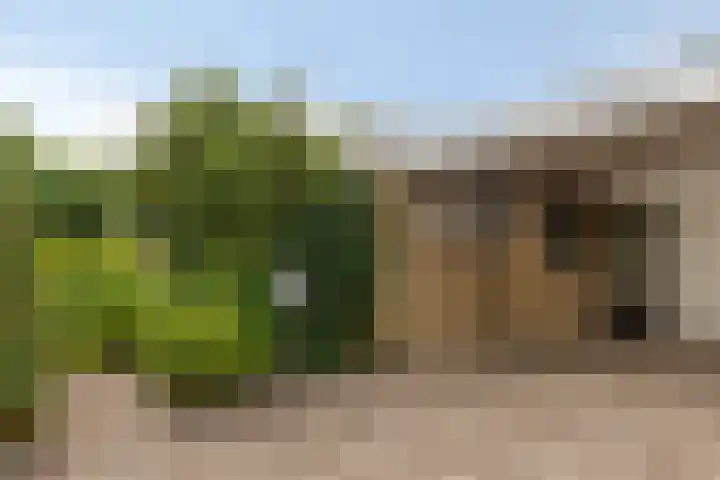 de Els 11 Haaksbergen thumbnail 8
