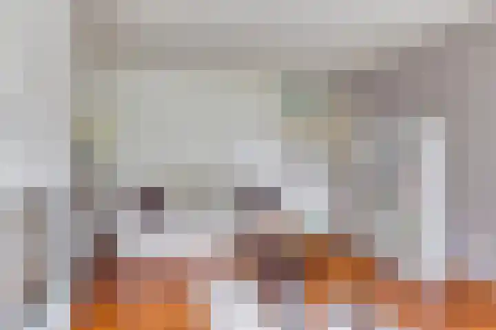 de Els 11 Haaksbergen thumbnail 9