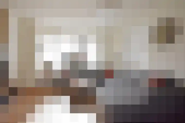 De Els 17 Burgum thumbnail 18