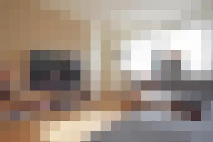De Els 17 Burgum thumbnail 20