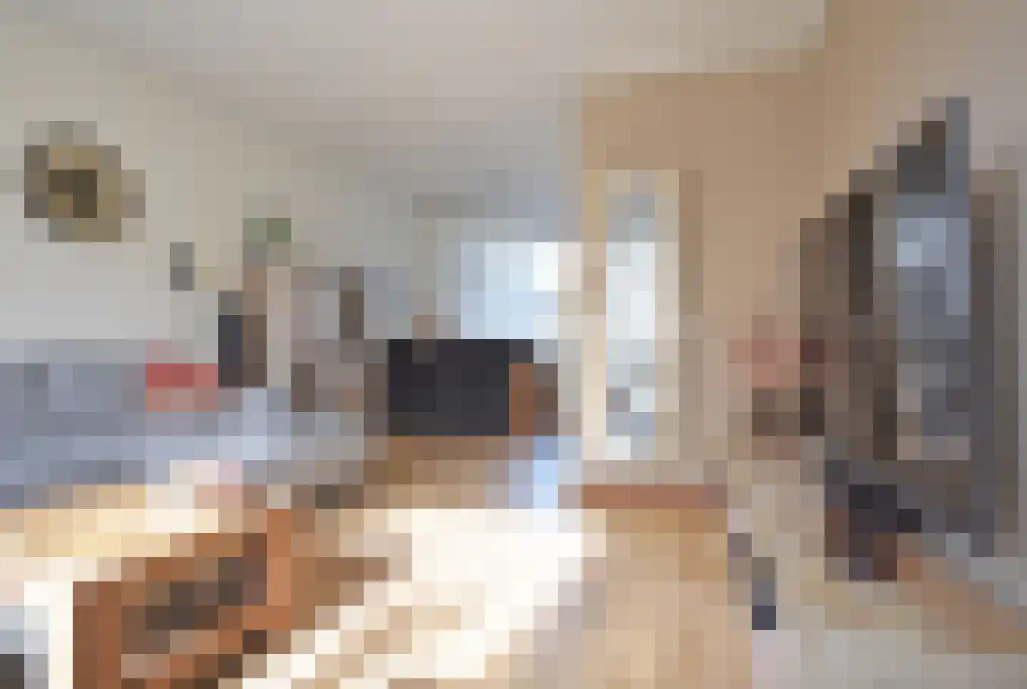 De Els 17 Burgum thumbnail 21