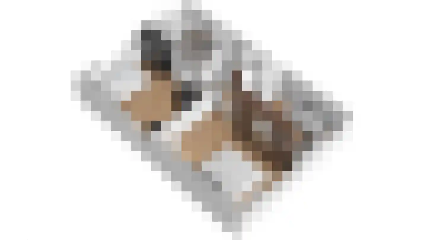 De Els 17 Burgum thumbnail 29