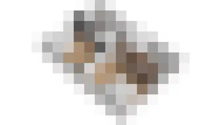 De Els 17 Burgum thumbnail 29