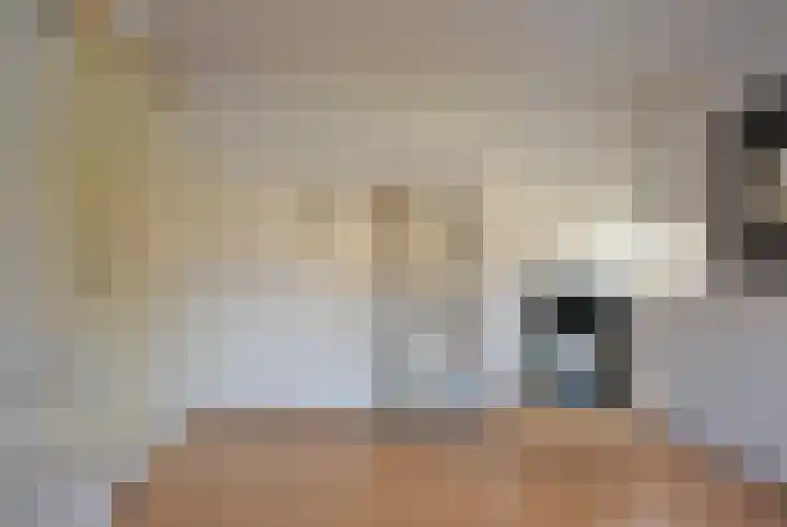 De Els 17 Burgum thumbnail 35