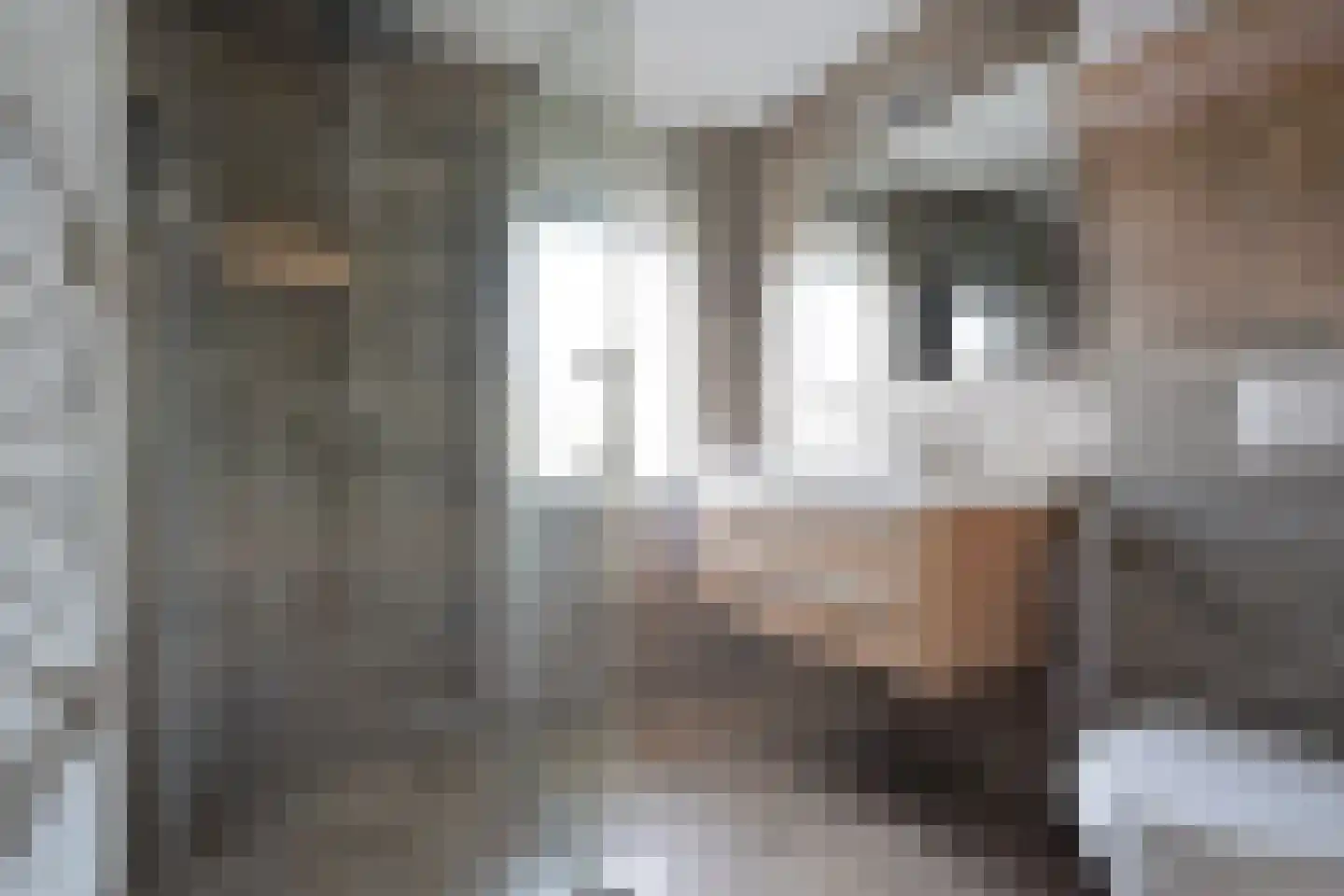 De Els 17 Burgum thumbnail 39