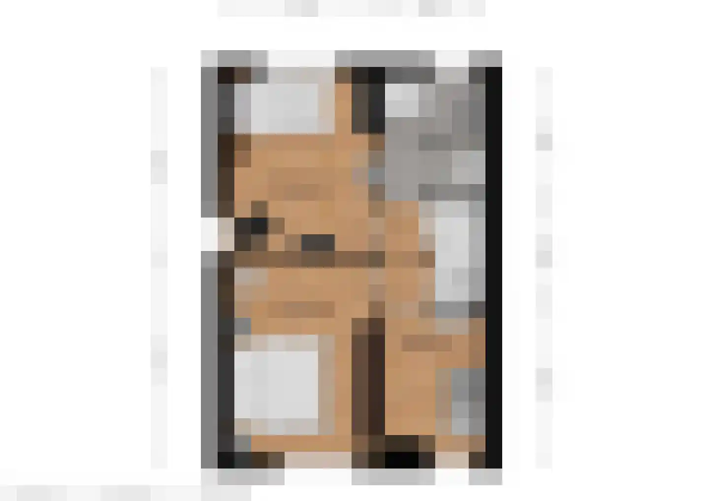 De Els 17 Burgum thumbnail 48