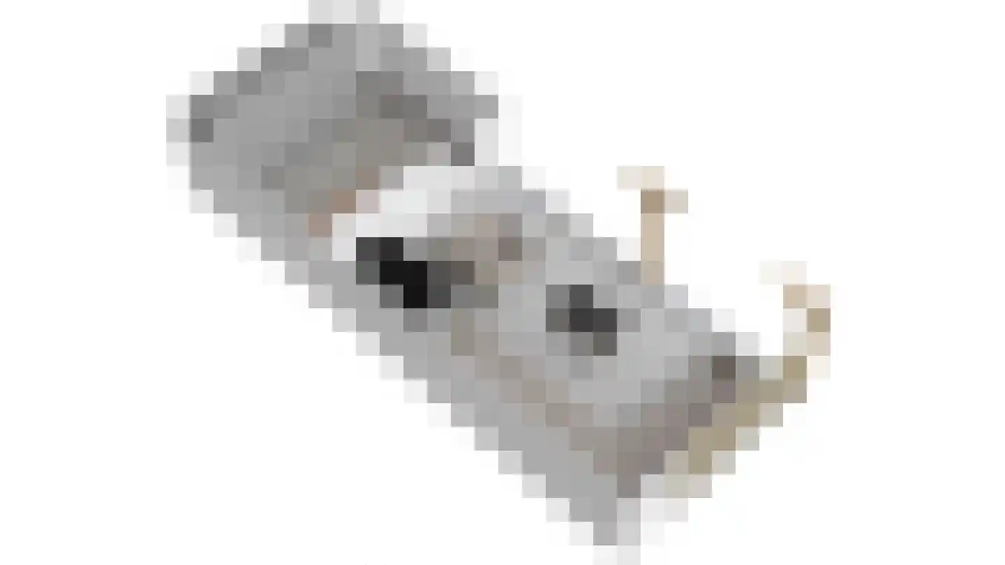 De Els 17 Burgum thumbnail 51