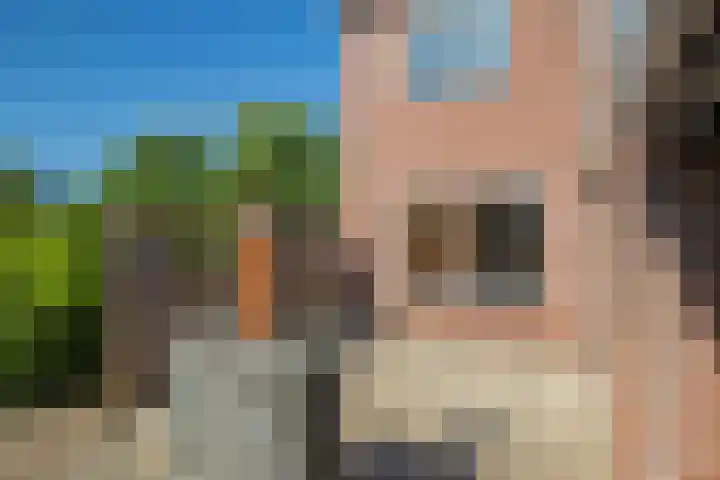 de Els 2 Didam thumbnail 17