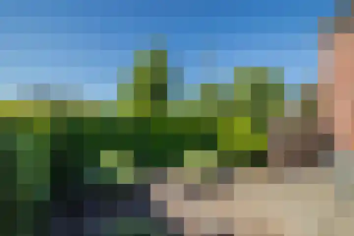 de Els 2 Didam thumbnail 19