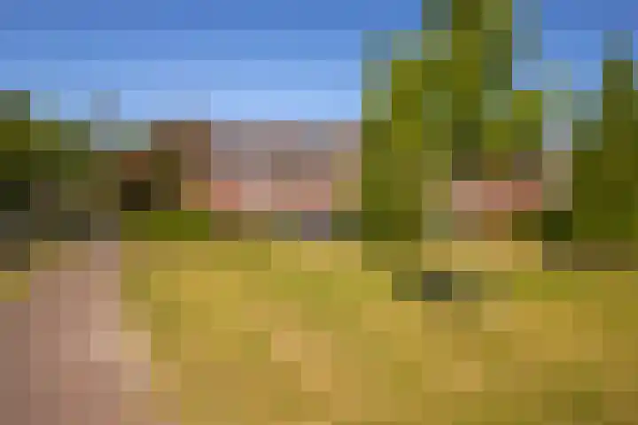 de Els 2 Didam thumbnail 35