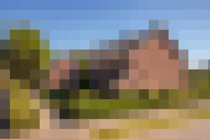 de Els 2 Didam thumbnail 6