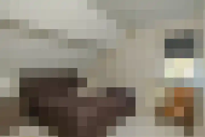 De Els 20 Beekbergen thumbnail 19