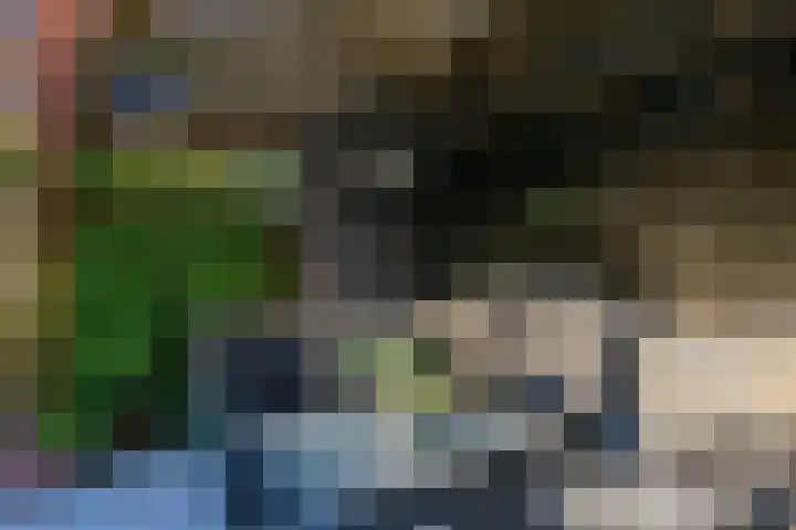 De Els 20 Beekbergen thumbnail 41