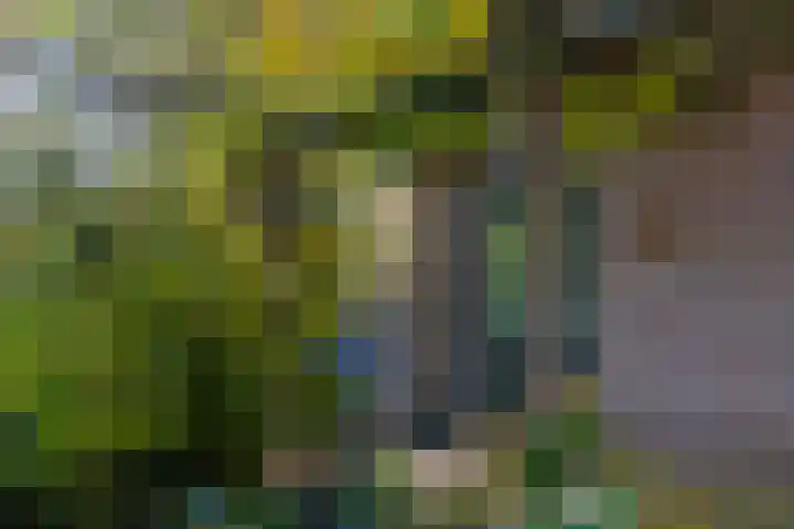 De Els 20 Beekbergen thumbnail 44