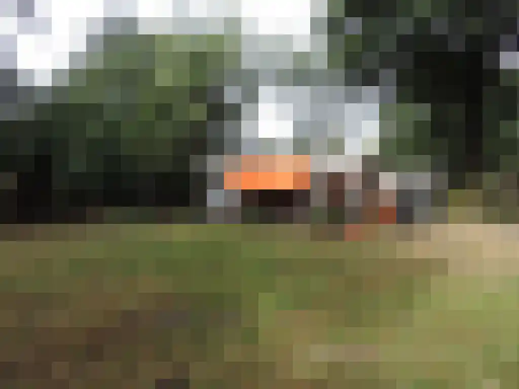 De Els 3 Beekbergen foto 2