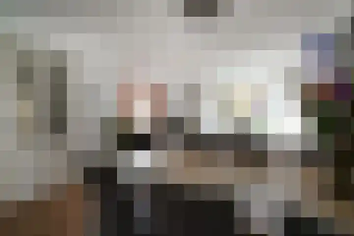 de Els 36 Didam thumbnail 13