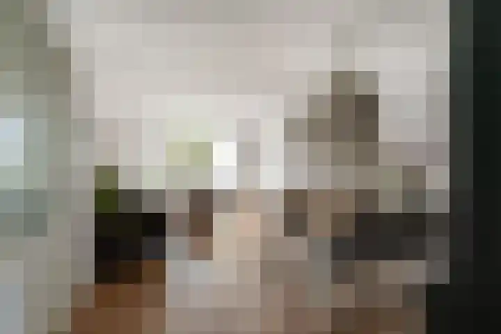 de Els 36 Didam thumbnail 14