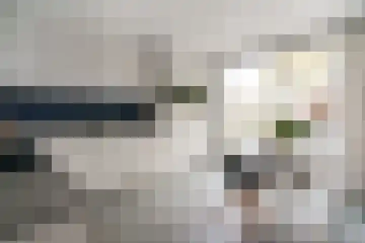 de Els 36 Didam thumbnail 16