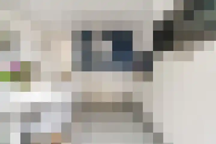 de Els 36 Didam thumbnail 18