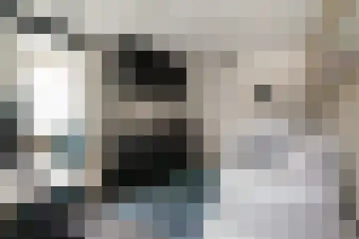 de Els 36 Didam thumbnail 19