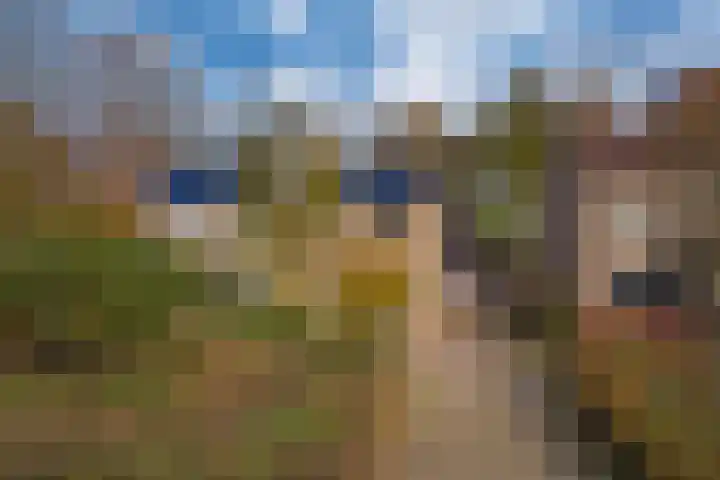 de Els 36 Didam foto 2