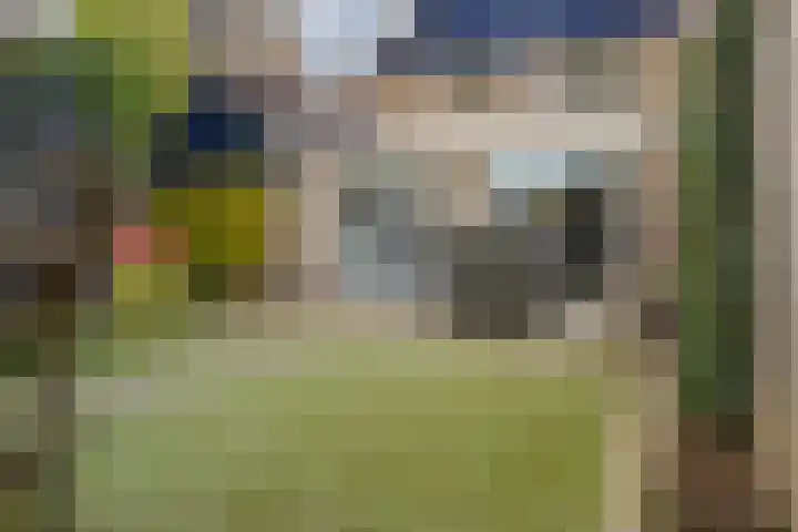 de Els 36 Didam thumbnail 23