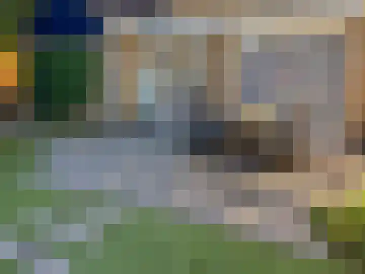 de Els 36 Didam thumbnail 24