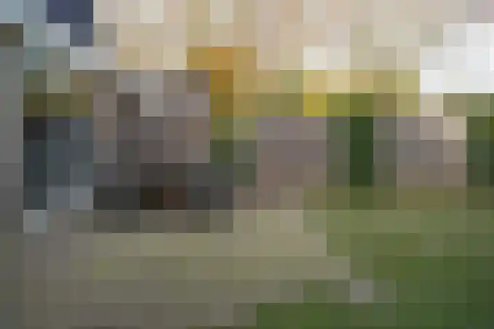 de Els 36 Didam thumbnail 25