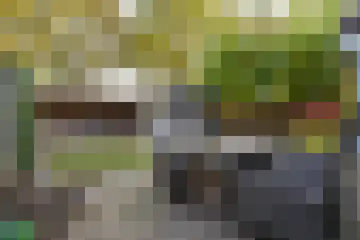 de Els 36 Didam thumbnail 26