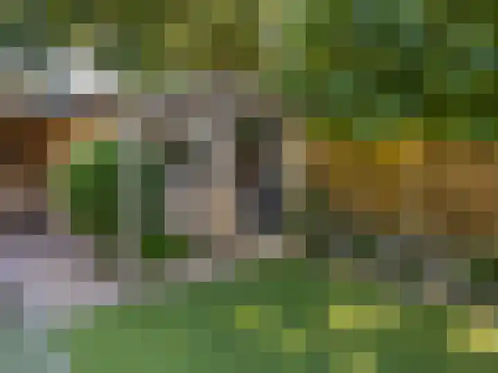 de Els 36 Didam thumbnail 28