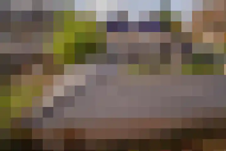 de Els 36 Didam thumbnail 30