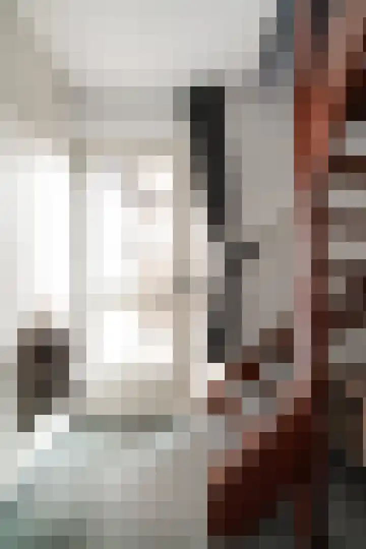 de Els 36 Didam thumbnail 32