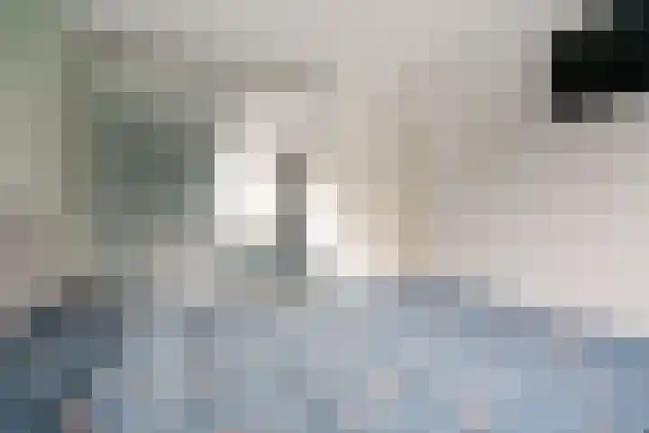 de Els 36 Didam thumbnail 35