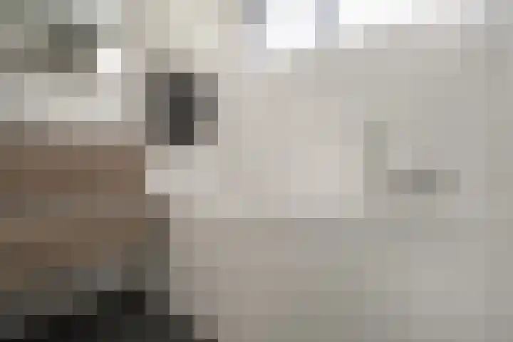 de Els 36 Didam thumbnail 37