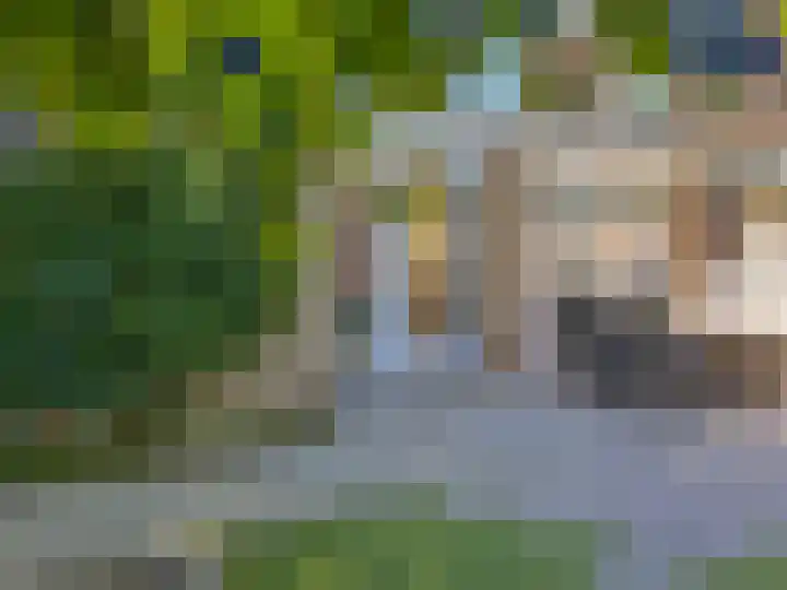 de Els 36 Didam thumbnail 4