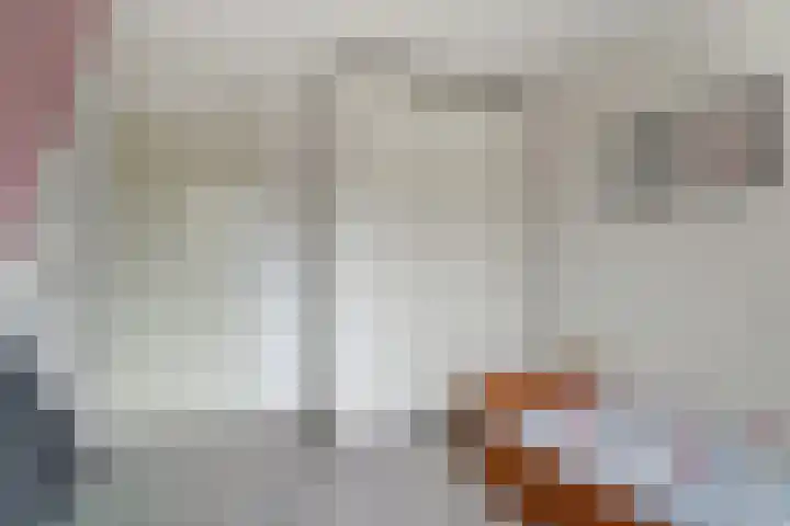 de Els 36 Didam thumbnail 43