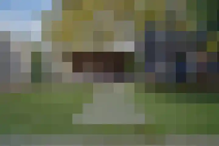de Els 36 Didam thumbnail 5
