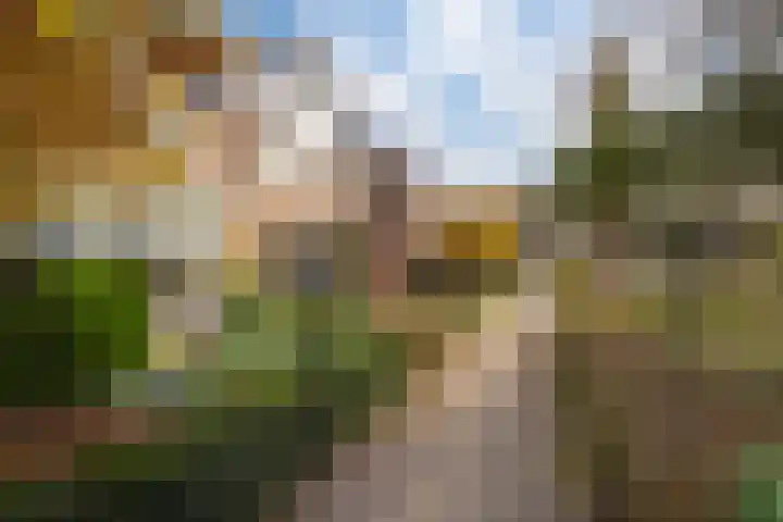 de Els 36 Didam thumbnail 51
