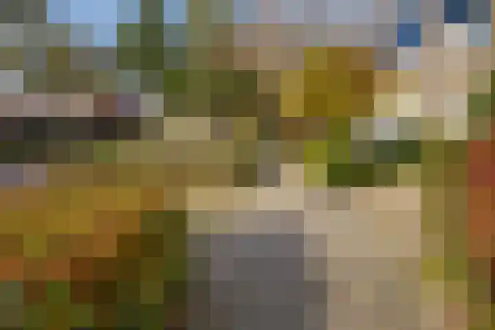 de Els 36 Didam thumbnail 52